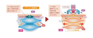 筋膜リリースの仕組み